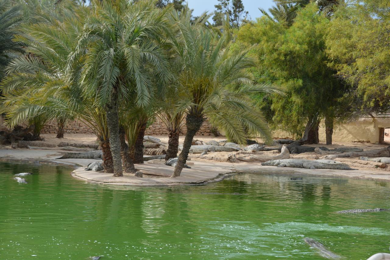 Menzel Churasco Djerba Aghīr Exterior foto